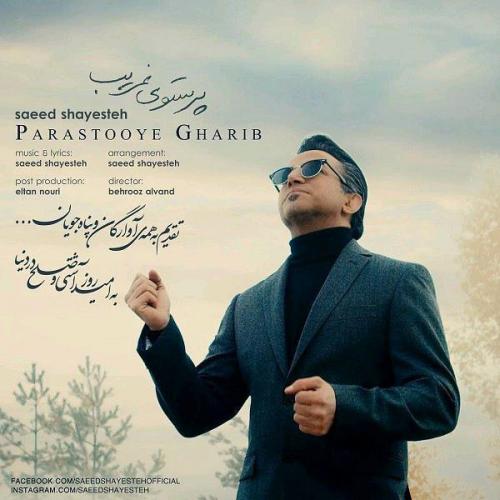 دانلود آهنگ پرستوی غریب